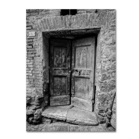 Moises Levy 'Siena Door' Canvas Art,14x19